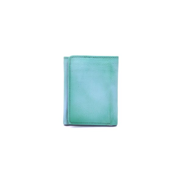 LINEAR CARRY TRI-FOLD WALLET