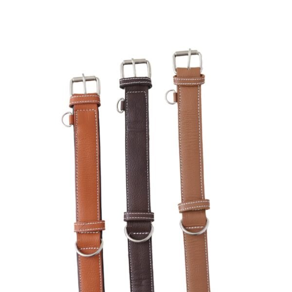 DOG COLLAR