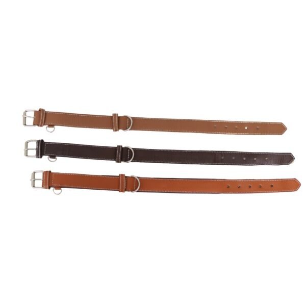 DOG COLLAR