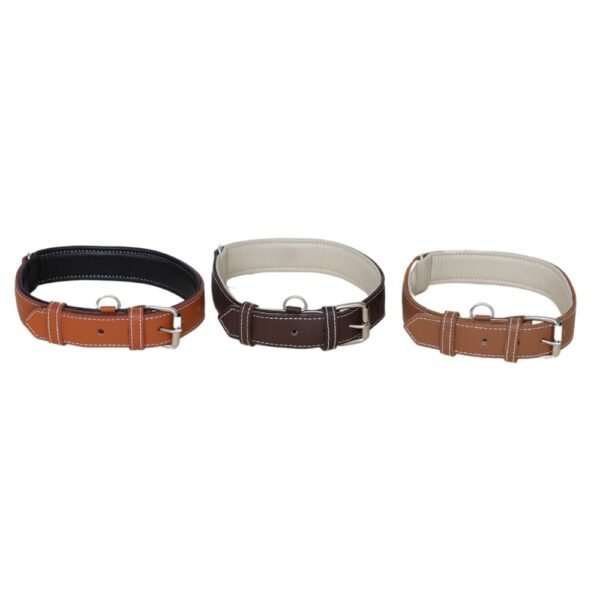 DOG COLLAR