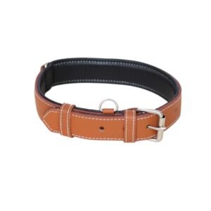DOG COLLAR